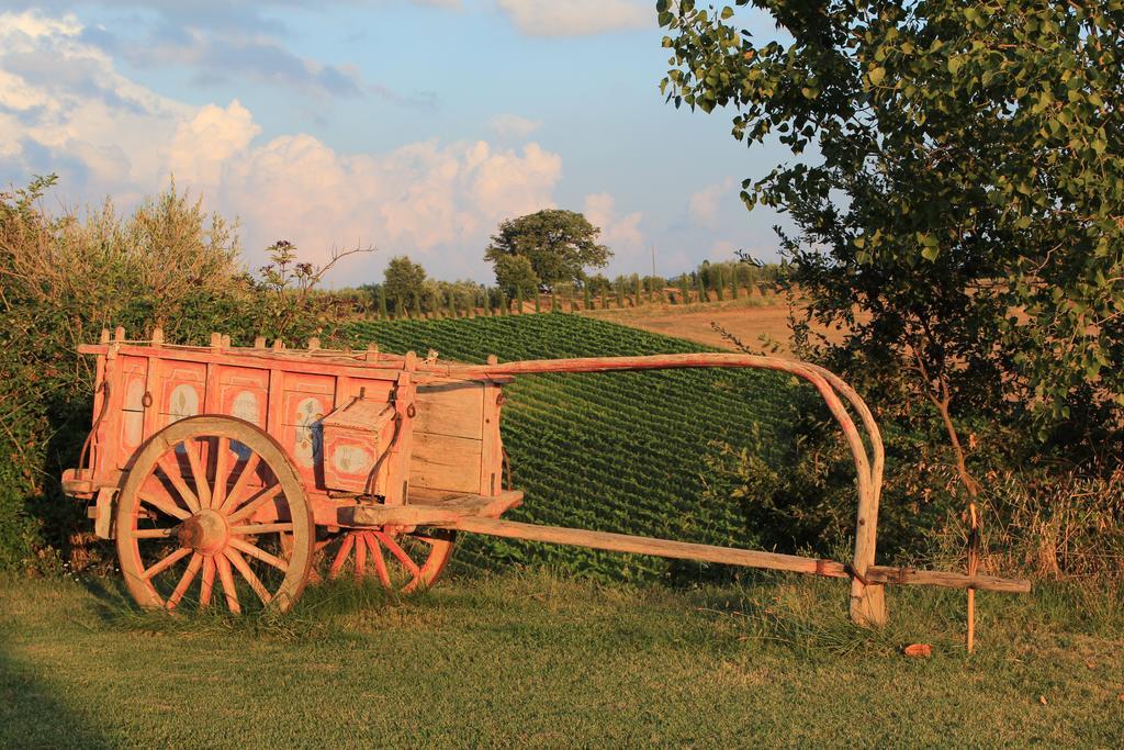 Agriturismo Santa Maria Торита ди Сиена Екстериор снимка
