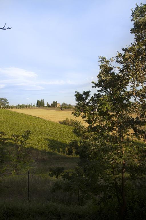 Agriturismo Santa Maria Торита ди Сиена Екстериор снимка