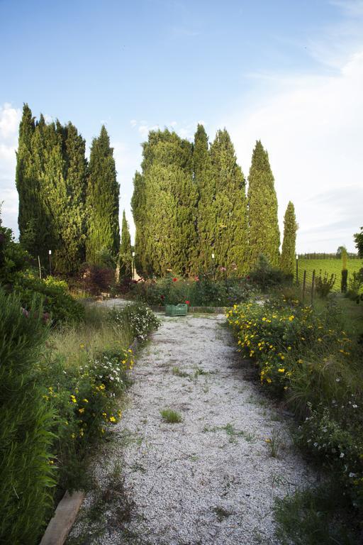 Agriturismo Santa Maria Торита ди Сиена Екстериор снимка
